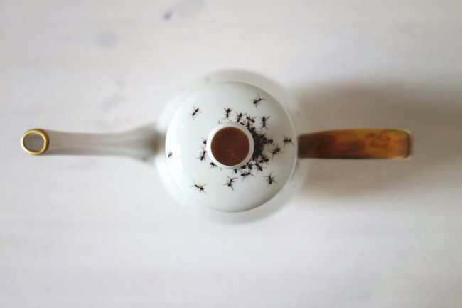 Роспись на фарфоре в виде муравьев (14 фото)