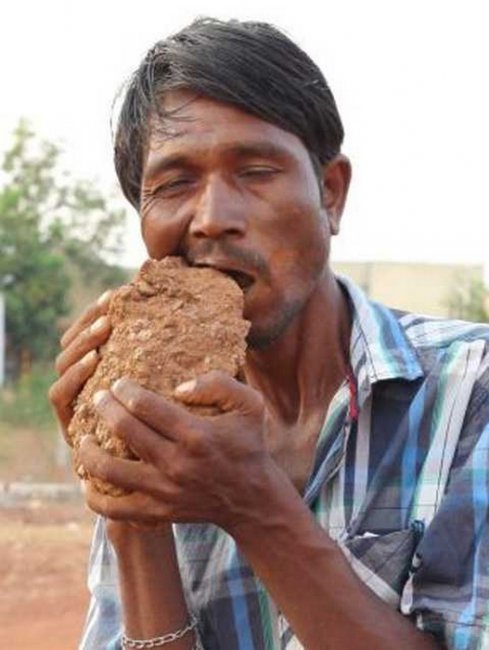 Пожиратель кирпичей из Индии (8 фото + видео)