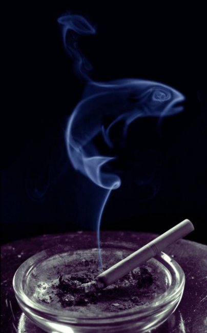 Дымное искусство (12 фото)