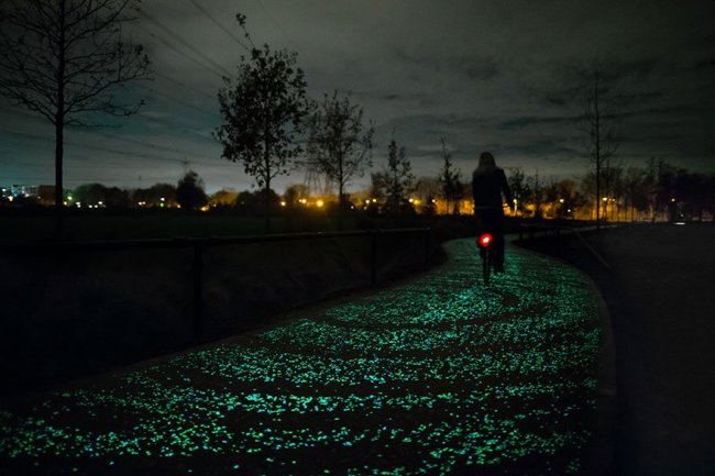 Светящаяся велосипедная дорожка (8 фото)