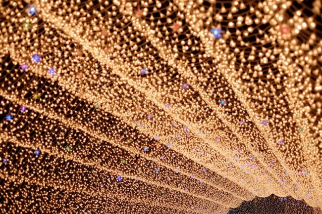 Зимний фестиваль света в Японии (7 фото)
