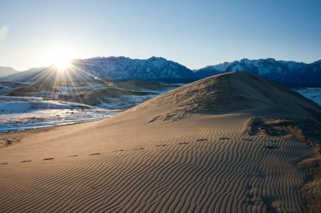 Пустыня среди ледников в Забайкалье: Чарские пески