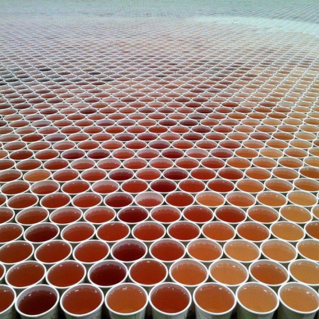 Самая большая мозаика из стаканчиков с водой (4 фото)