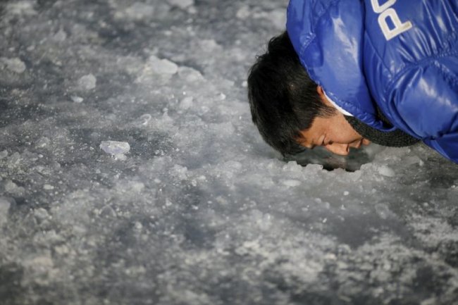 Фестиваль льда в Южной Корее (18 фото)