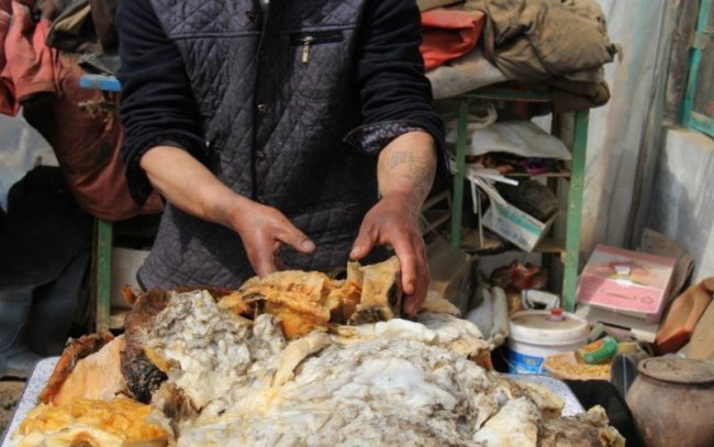 В Китае найден самый большой гриб бессмертия (18 фото)