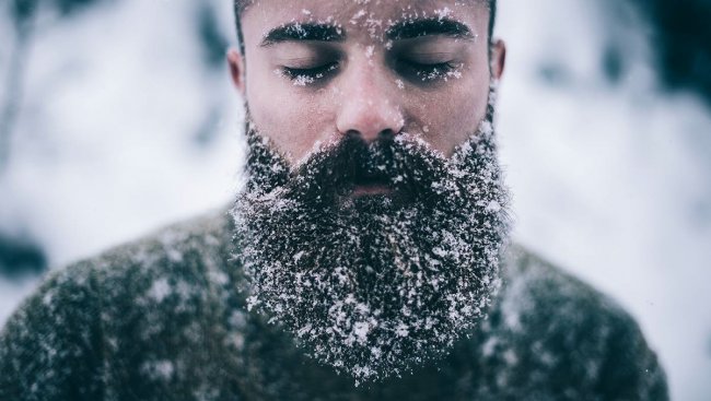 Интересные факты о бороде (10 фото)