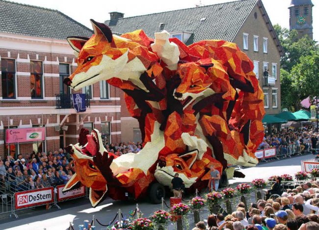 Корсо Зюндерт 2016 - парад цветов в Нидерландах (11 фото)