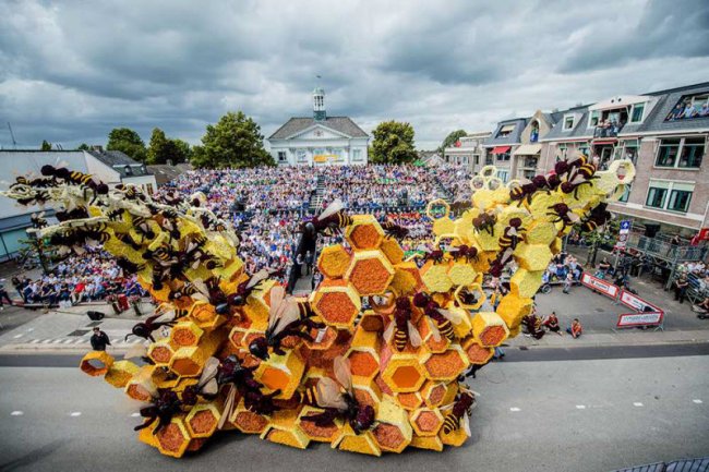 Корсо Зюндерт 2016 - парад цветов в Нидерландах (11 фото)