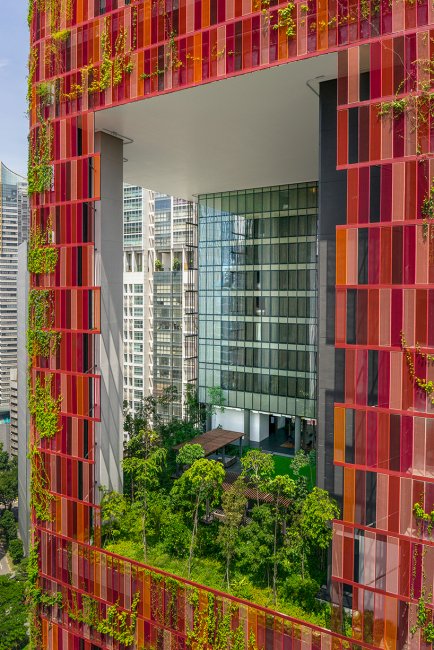 «Зеленая» башня Oasia Hotel в Сингапуре (12 фото)