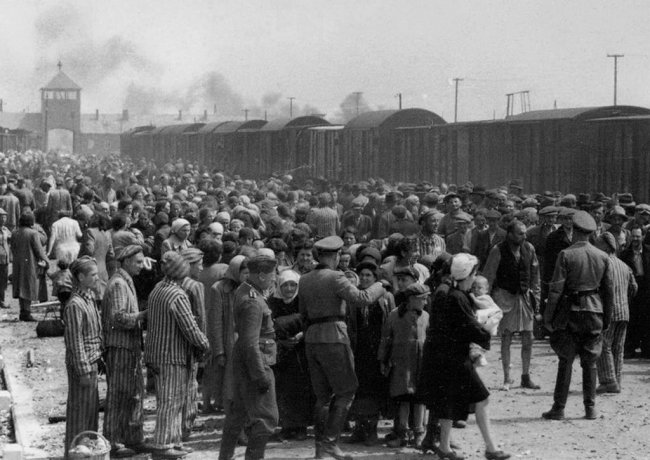 Горькие факты о холокосте (9 фото)