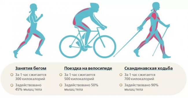 Интересные факты о велосипедах (8 фото)