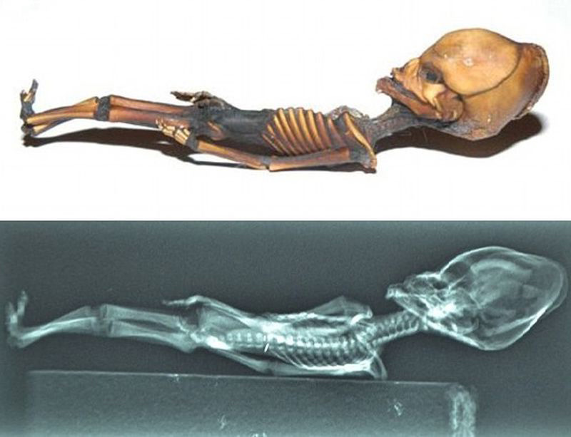 Загадочная мумия гуманоида Атакамы