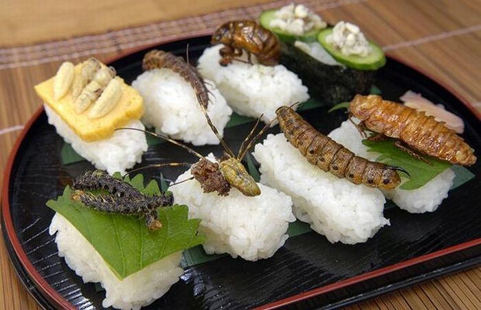 Самые любопытные факты о суши и роллах