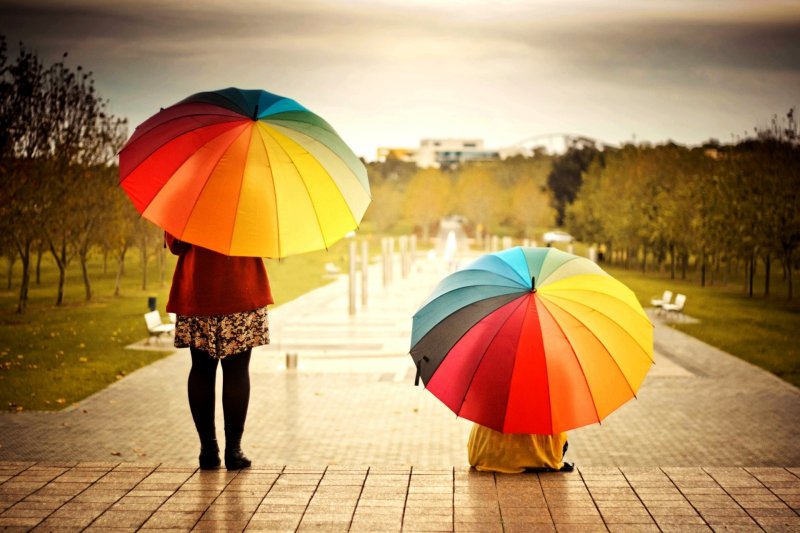 Как выбрать зонт – правила, которые помогут купить именно то, что нужно