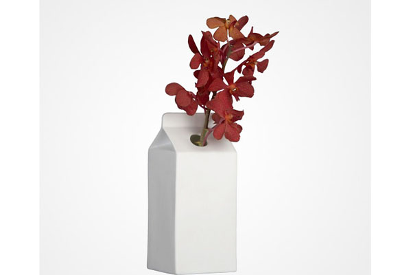 Самые необычные цветочные вазы