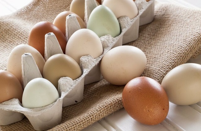 Какие яйца вкуснее: белые или коричневые?