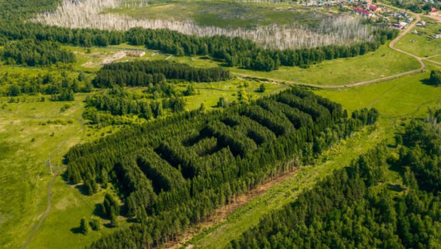 Дрон-фотограф запечатлел искусственный лес, высаженный словом "Ленин" (3 фото)  