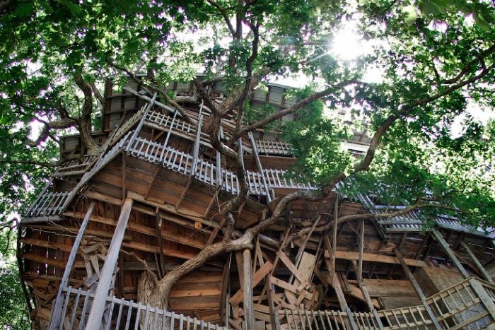 Самые необычные здания в мире (7 фото)