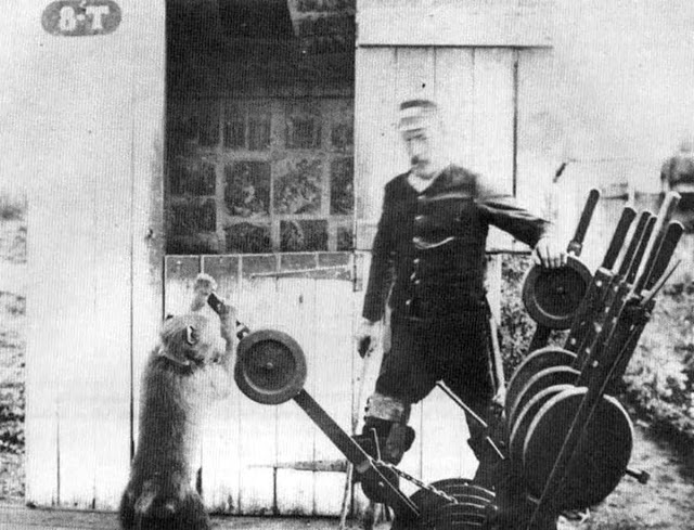 Джек Бабуин, который работал железнодорожным связистом в 1880-х годах за деньги и пиво и никогда не ошибался!