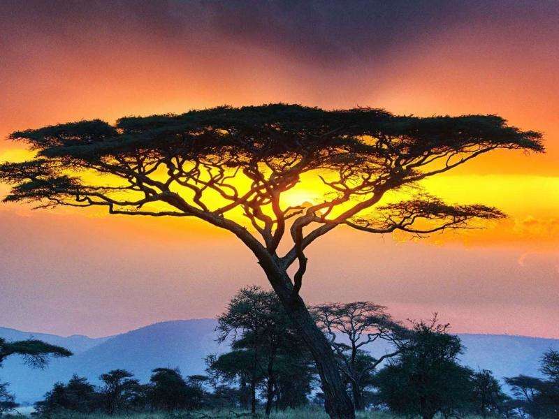 Интересные факты о Танзании 