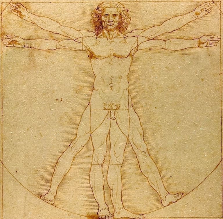 Значение знаменитого рисунка Леонардо да Винчи «Витрувианский человек» 