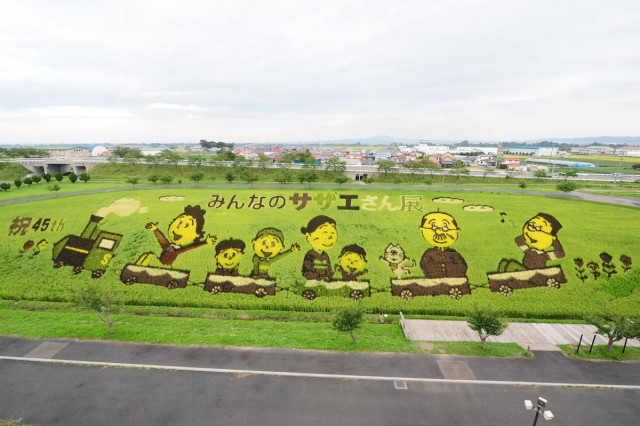 Японская деревня, где каждый год создают огромные картины на рисовых полях (9 фото)