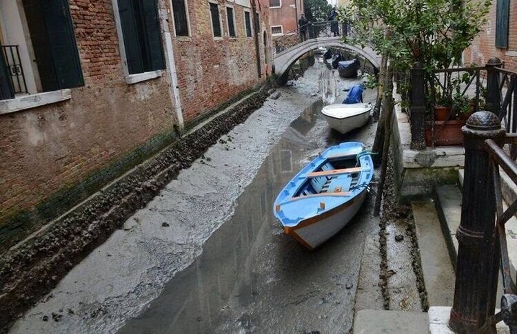 На чем на самом деле стоит Венеция (12 фото) 