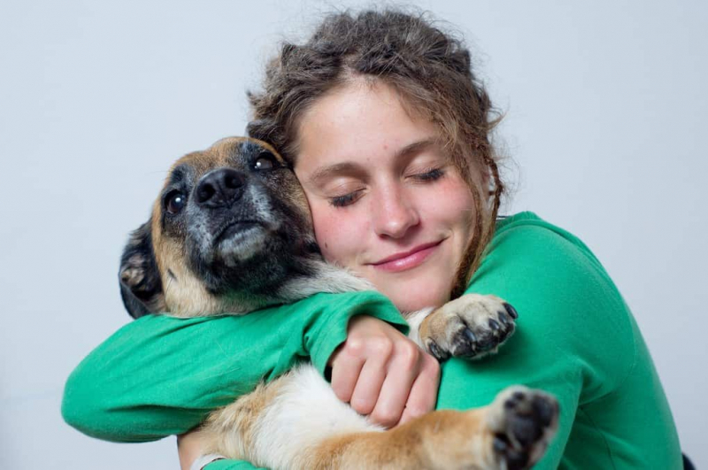 10 вещей которые не нравятся собакам (10 фото)