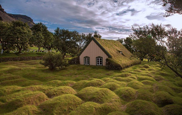 Для чего на крышах домов в Скандинавии растет трава?