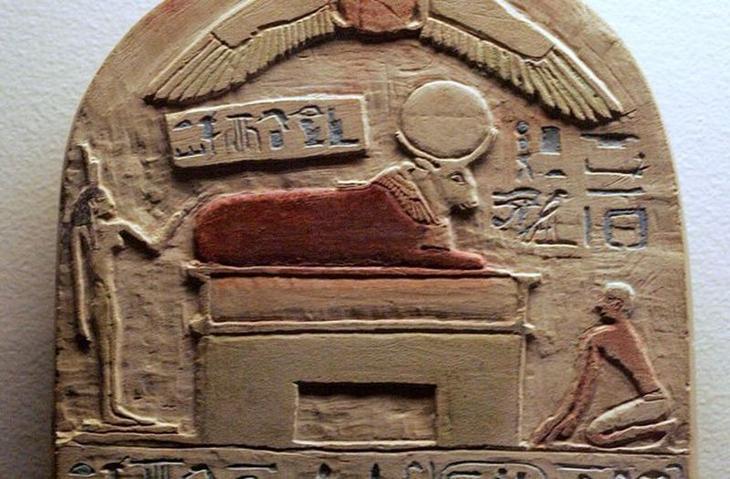 10 фактов о древнеегипетских животных, которые приведут вас в недоумение