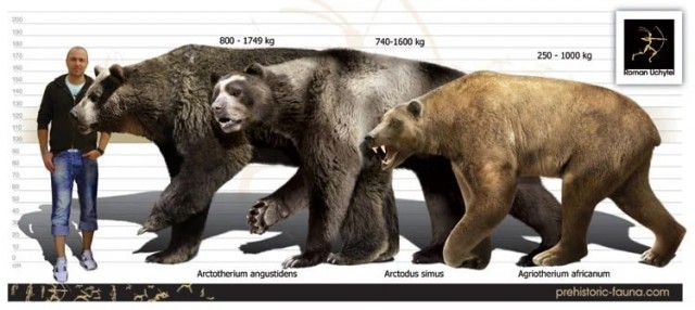 Агриотерий: Бульдог среди медведей. Его сила укуса с учетом огромных размеров была сокрушительна