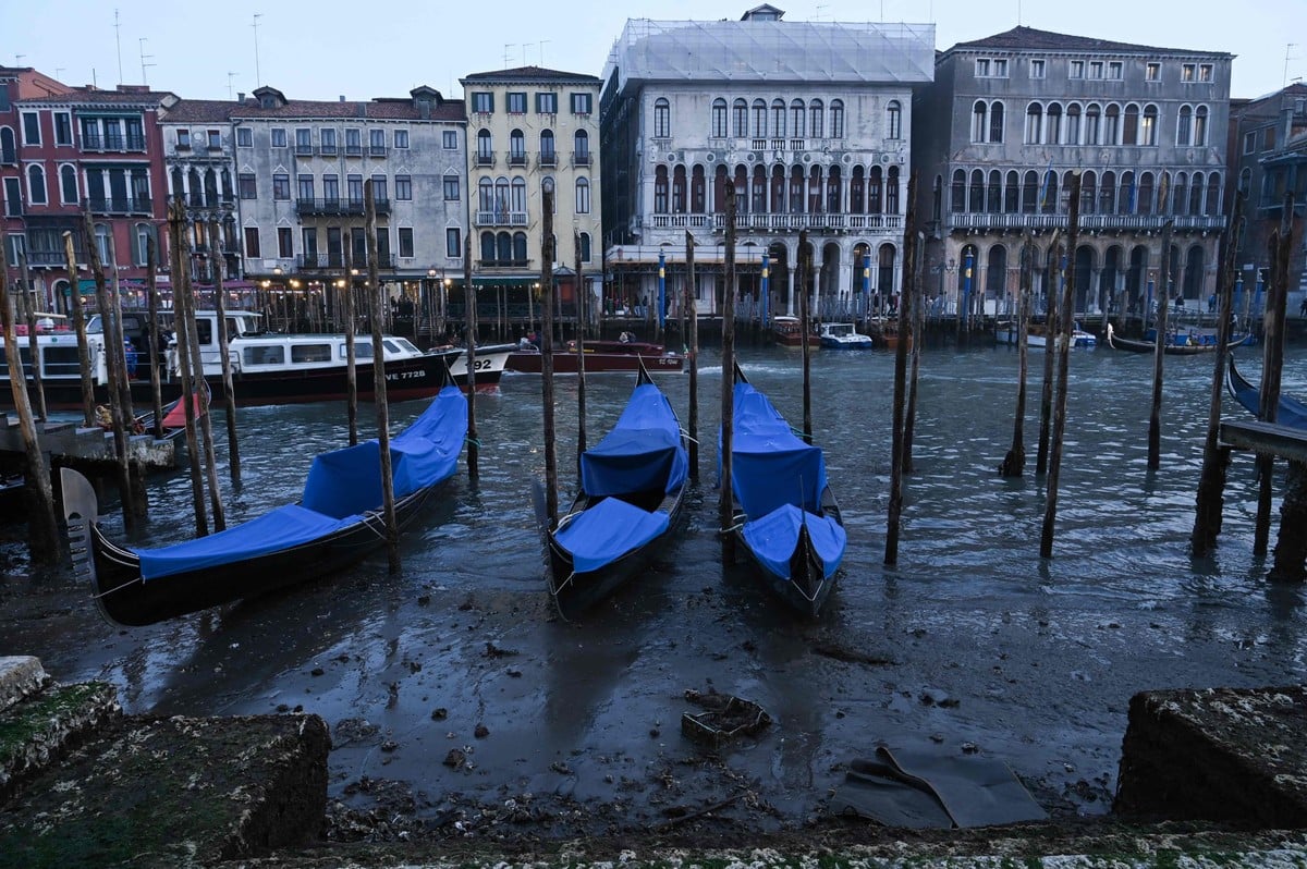 пересохшая венеция