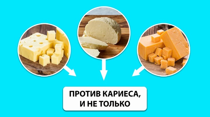 Какой сыр никогда не портится, и еще 44 малоизвестных факта об этом молочном продукте