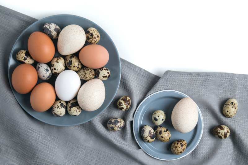 15 фактов, которые нужно знать о перепелиных яйцах
