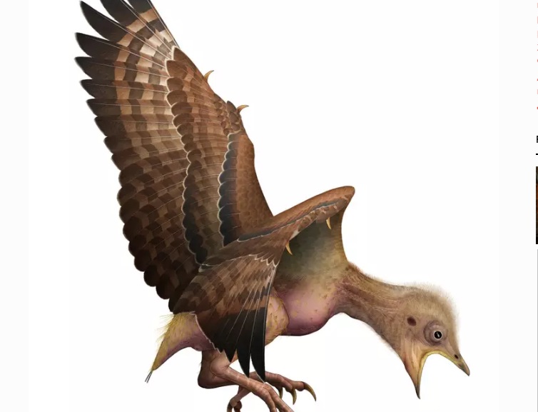 Перья вымерших птиц найдены в янтаре возрастом 99 миллионов лет