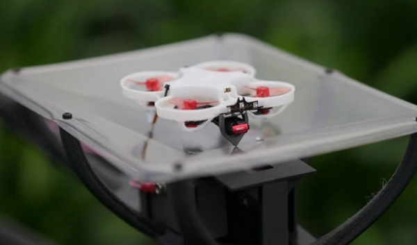 Голландцы создали дроны против вредных насекомых
