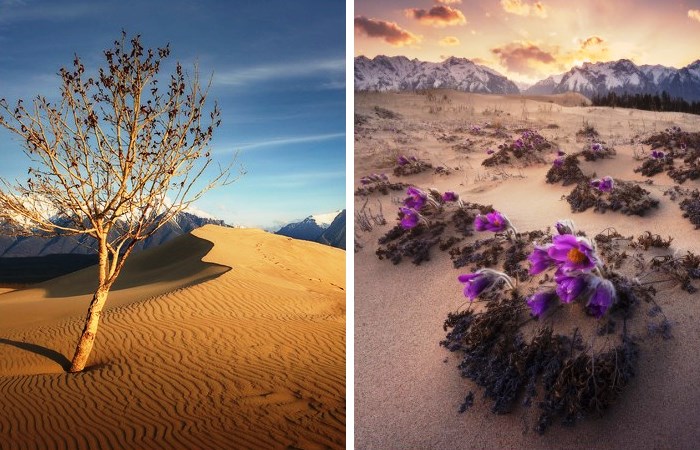 Что особенного в самой маленькой в мире пустыне, которая противоречит законам природы: Чарские пески