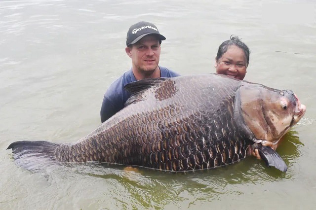 В Таиланде рыбак поймал самого большого в мире карпа (3 фото)