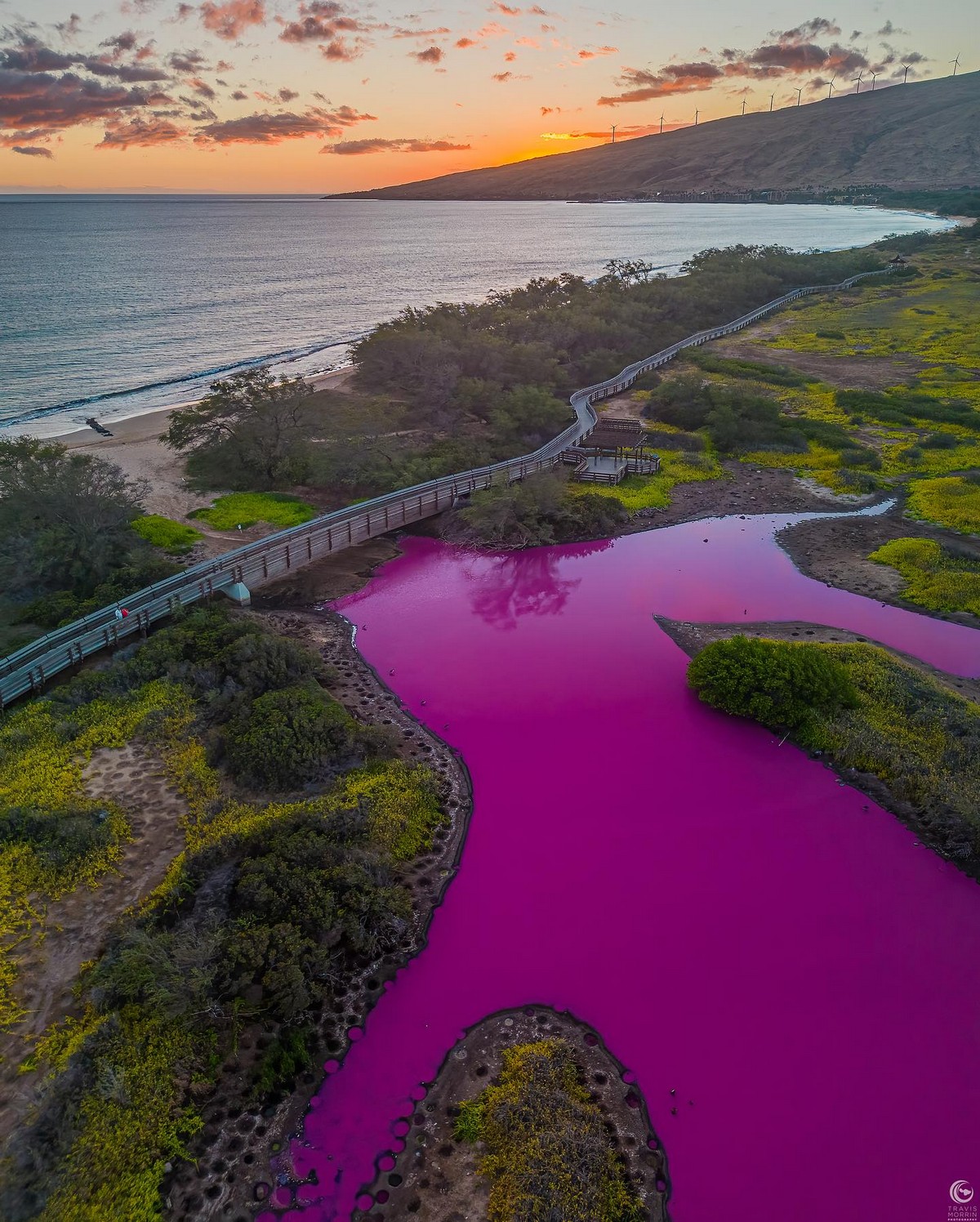 Водоем который окрашивается в нежно розовый цвет. Kealia Shoreline, Kauai, Hawaii, Гавайи. Кеалий.