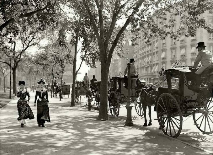 Таксисты в Мэдисон-Сквер-Гарден, Нью-Йорк, 1900 год